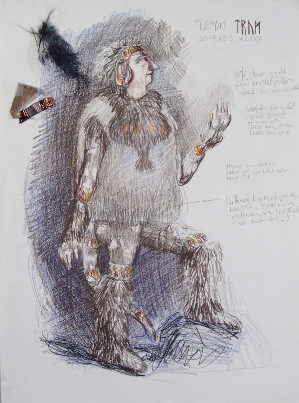 A grey furry and glittery costume with a tail for Trym