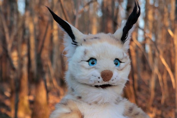 A portrait of Bluč in the forest