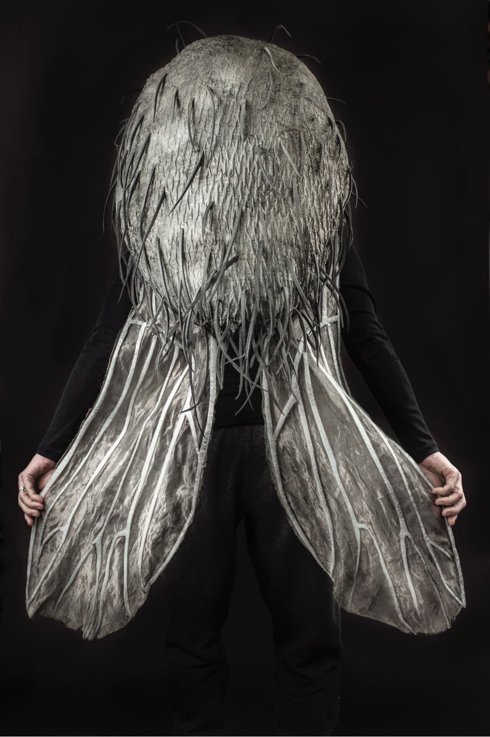 Back view showcasing the mosquito’s hairy neck and floppy wings