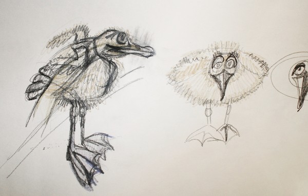 En blyantskisse av måkeungen