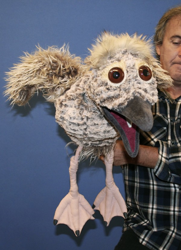 Sean Morrissey holder måken Skávhli