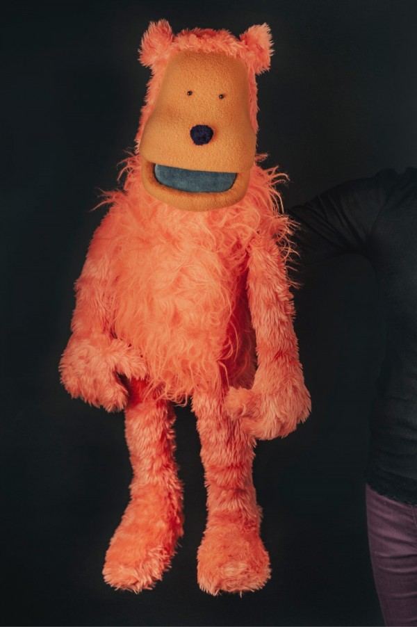 Whole body portrait of the Crisis Advisor